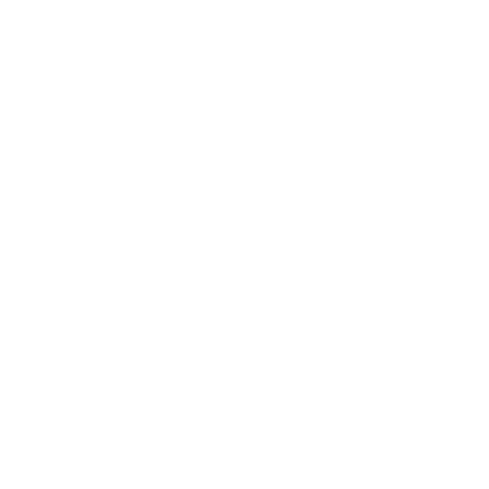 Momentum Labz